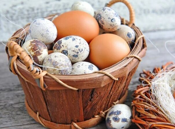 Quail or chicken eggs