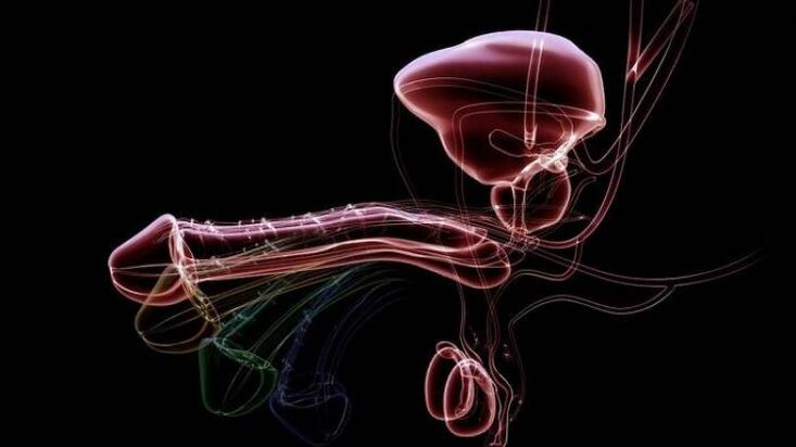 Why does discharge appear when men are aroused and is it normal